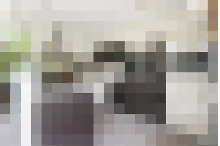 Nieuwe Land 30 Zoutelande thumbnail 11