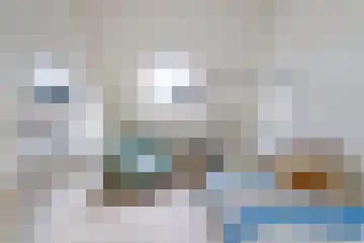 Nieuwe Land 30 Zoutelande thumbnail 17
