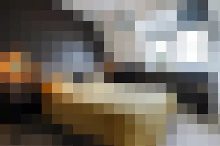Nieuwe Land 30 Zoutelande thumbnail 19