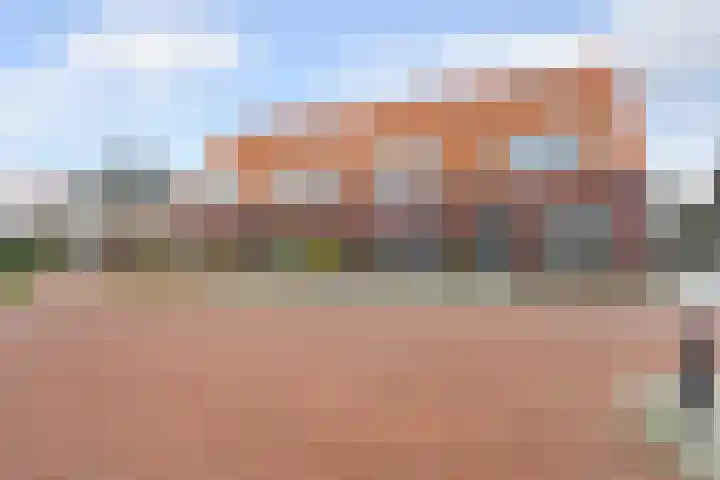 Nieuwe Land 30 Zoutelande foto 2