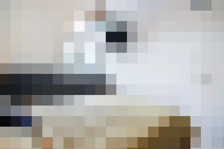 Nieuwe Land 30 Zoutelande thumbnail 20