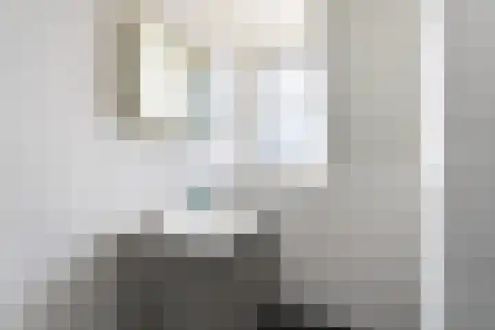 Nieuwe Land 30 Zoutelande thumbnail 21