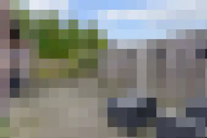 Nieuwe Land 30 Zoutelande thumbnail 25