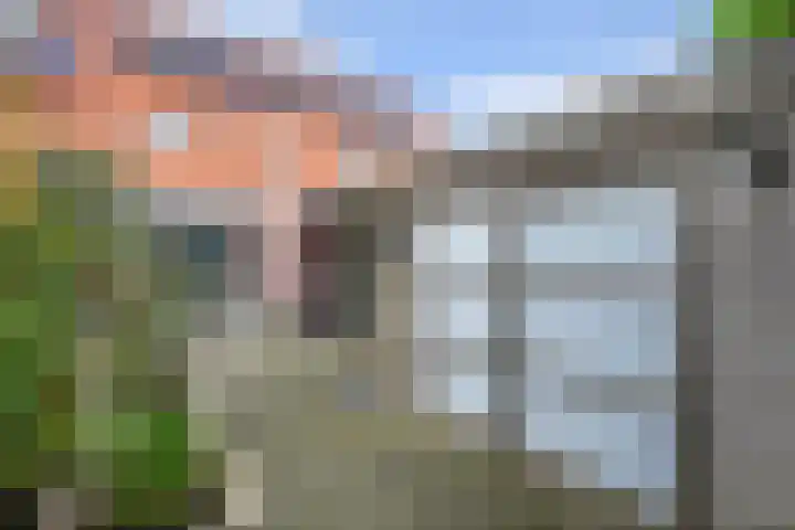 Nieuwe Land 30 Zoutelande thumbnail 28