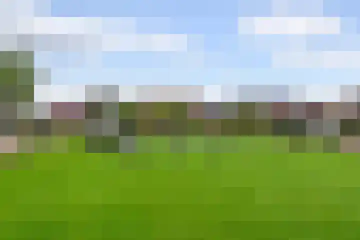 Nieuwe Land 30 Zoutelande thumbnail 30