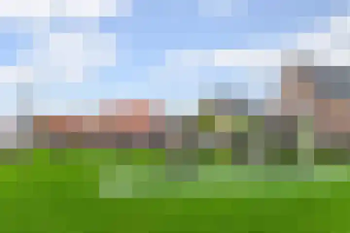Nieuwe Land 30 Zoutelande thumbnail 31