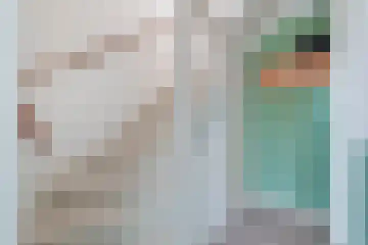 Nieuwe Land 30 Zoutelande thumbnail 4
