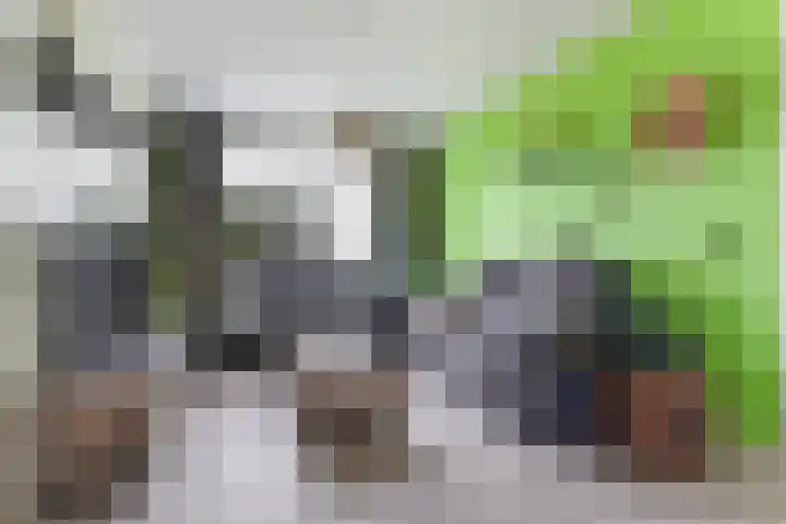 Nieuwe Land 30 Zoutelande thumbnail 6