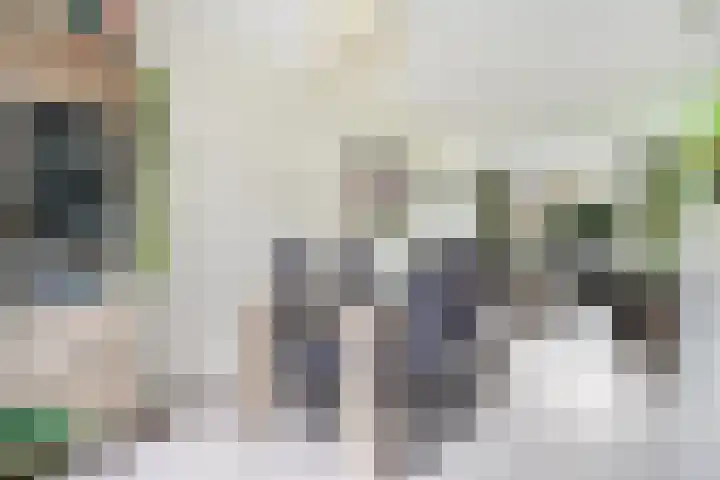Nieuwe Land 30 Zoutelande thumbnail 8