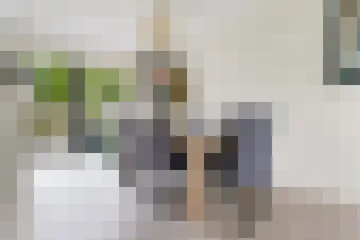 Nieuwe Land 30 Zoutelande thumbnail 9