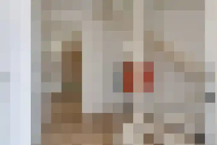 Nieuwe Land 36 Zoutelande thumbnail 12