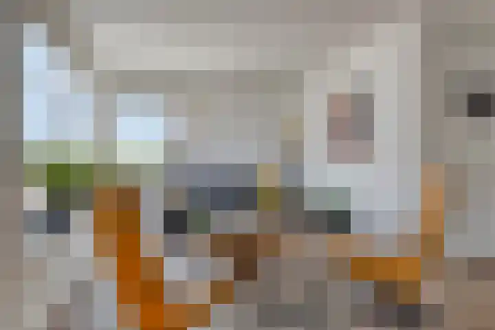 Nieuwe Land 36 Zoutelande thumbnail 13