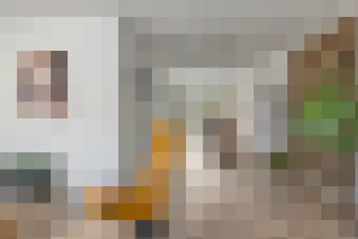 Nieuwe Land 36 Zoutelande thumbnail 14