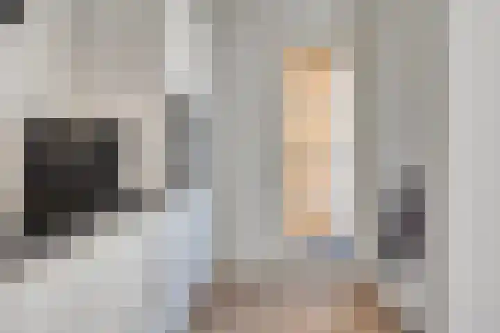 Nieuwe Land 36 Zoutelande thumbnail 20