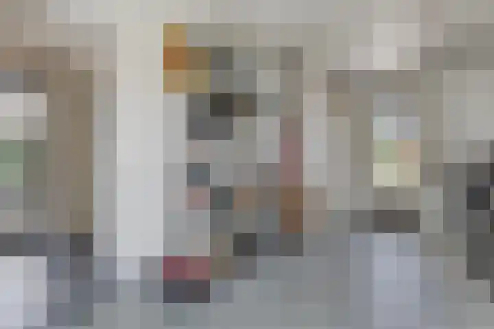 Nieuwe Land 36 Zoutelande thumbnail 22