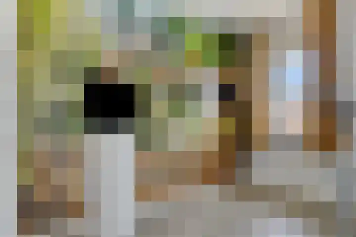 Nieuwe Land 36 Zoutelande thumbnail 31