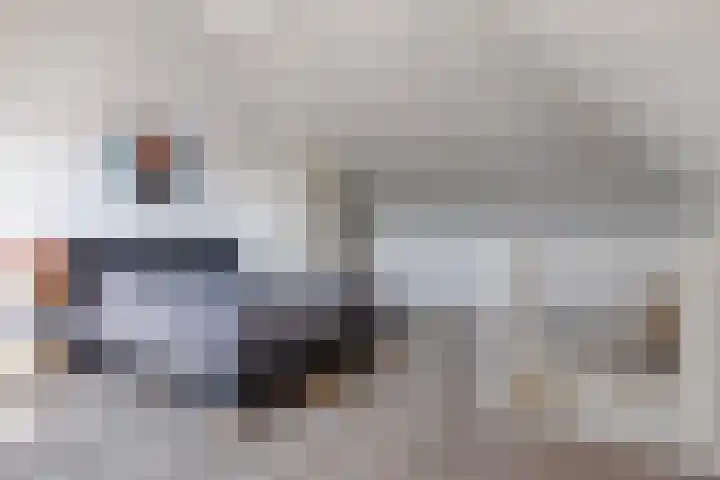 Nieuwe Land 36 Zoutelande thumbnail 34