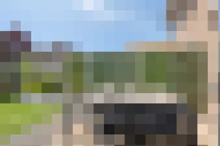 Nieuwe Land 36 Zoutelande thumbnail 36