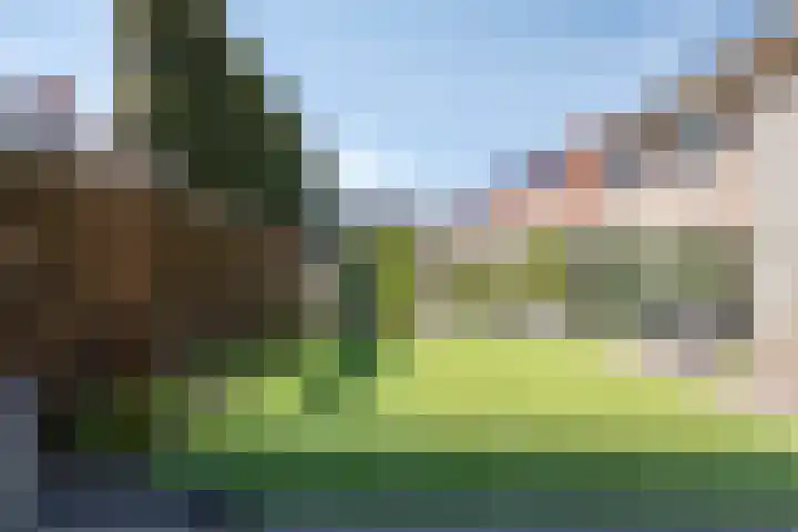 Nieuwe Land 36 Zoutelande thumbnail 38