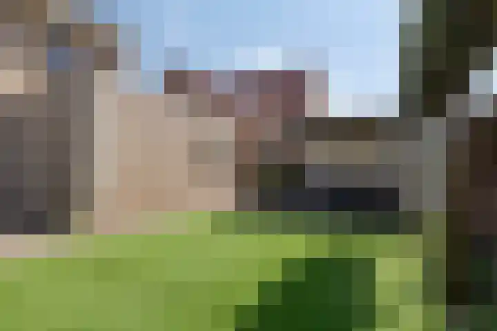 Nieuwe Land 36 Zoutelande thumbnail 39