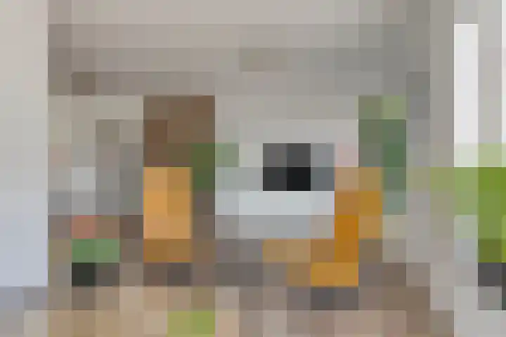 Nieuwe Land 36 Zoutelande thumbnail 4
