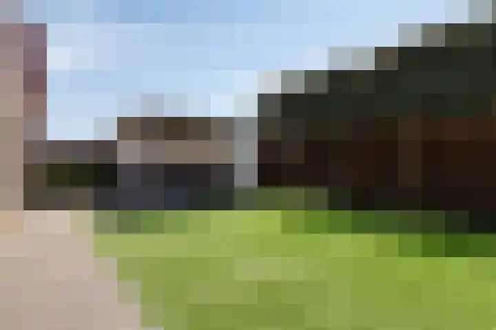 Nieuwe Land 36 Zoutelande thumbnail 40