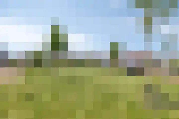 Nieuwe Land 36 Zoutelande thumbnail 45