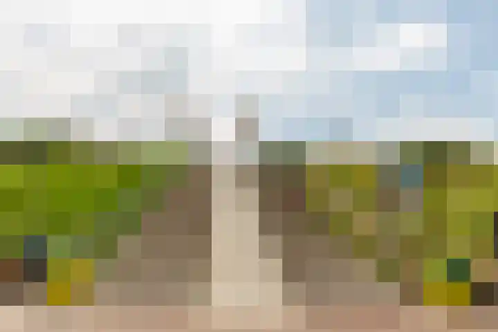 Nieuwe Land 36 Zoutelande thumbnail 46