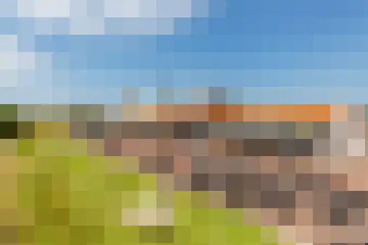 Nieuwe Land 36 Zoutelande thumbnail 47