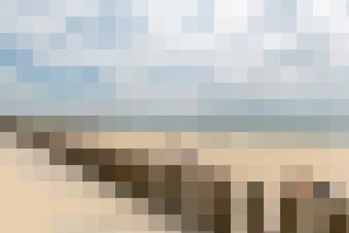 Nieuwe Land 36 Zoutelande thumbnail 48