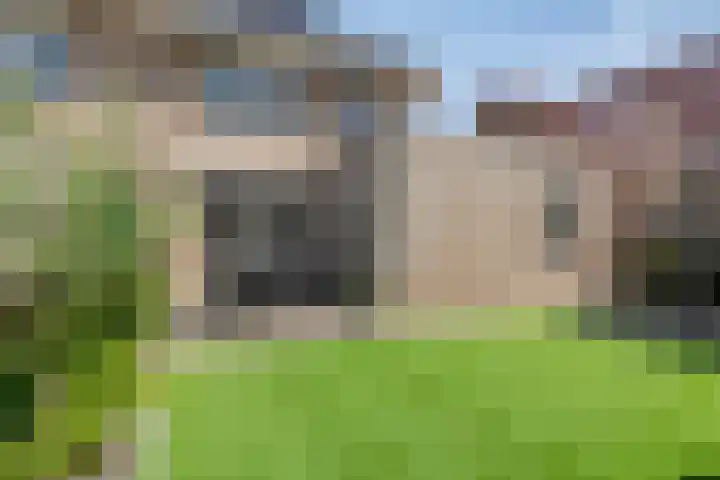 Nieuwe Land 36 Zoutelande thumbnail 7