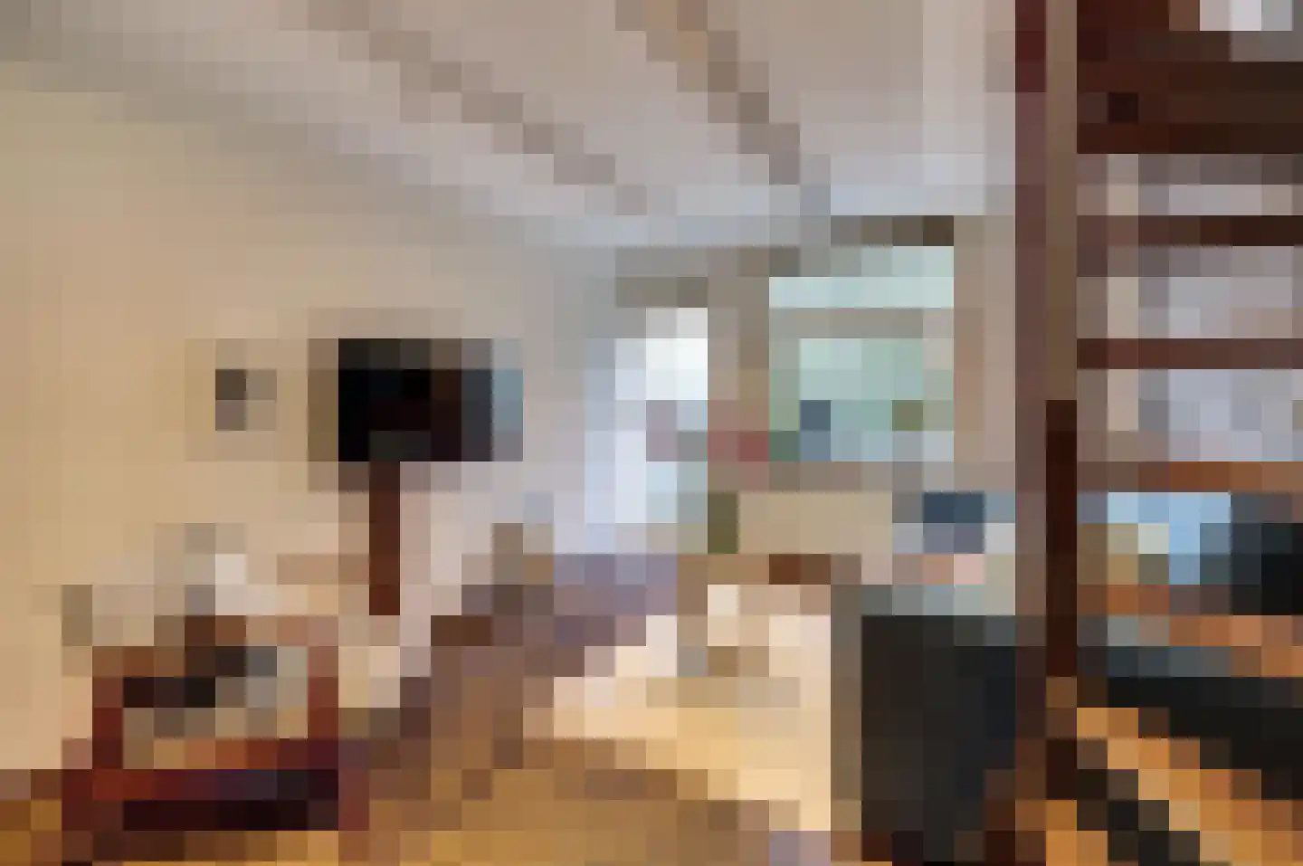 Nieuwe Langendijk 100 Delft thumbnail 13