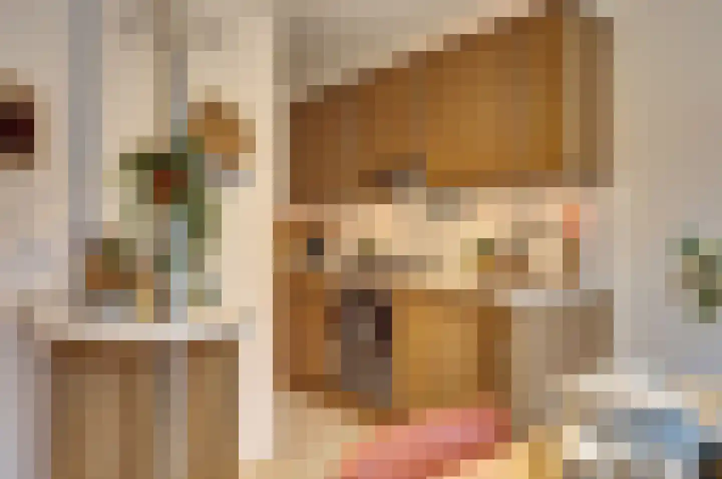 Nieuwe Langendijk 100 Delft thumbnail 19