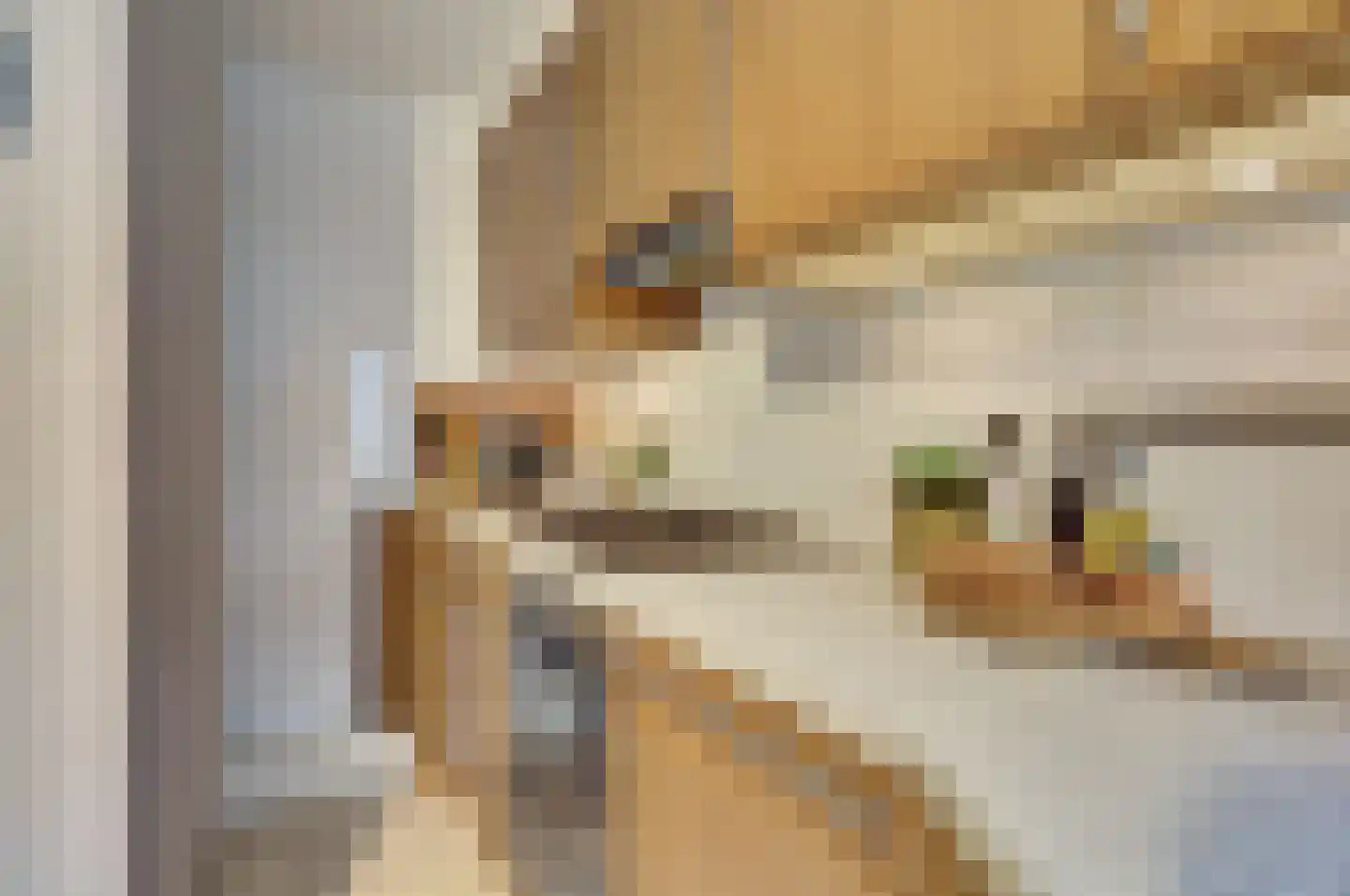 Nieuwe Langendijk 100 Delft thumbnail 20