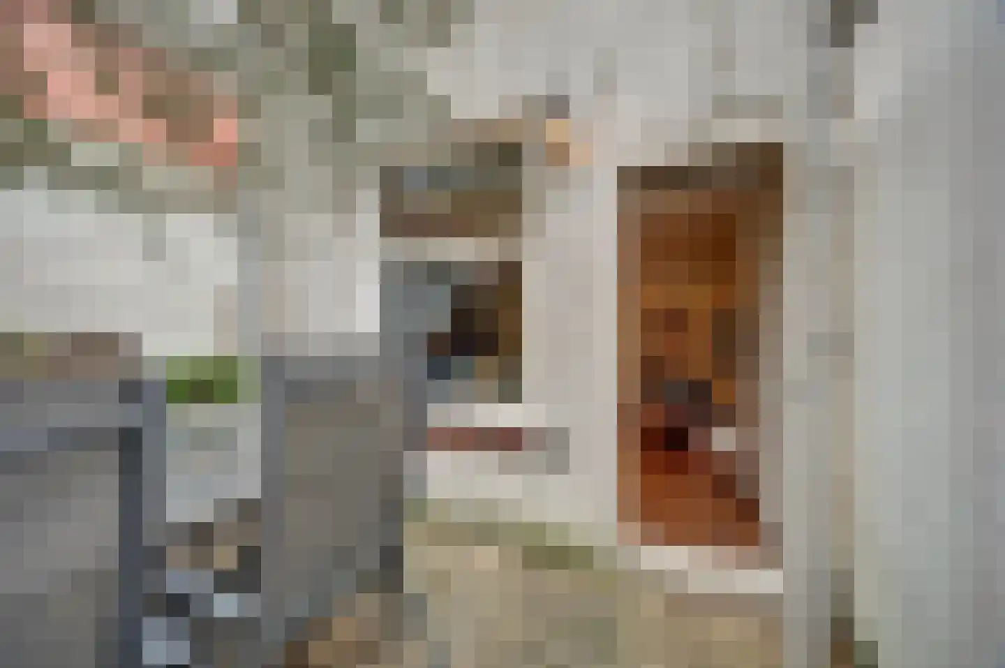 Nieuwe Langendijk 100 Delft thumbnail 4