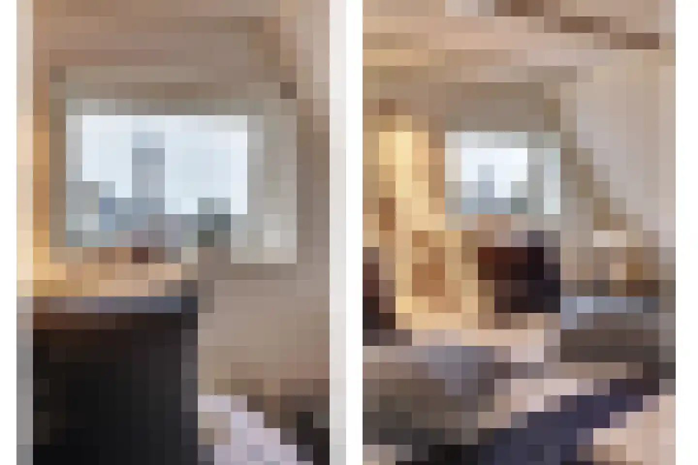 Nieuwe Langendijk 100 Delft thumbnail 5