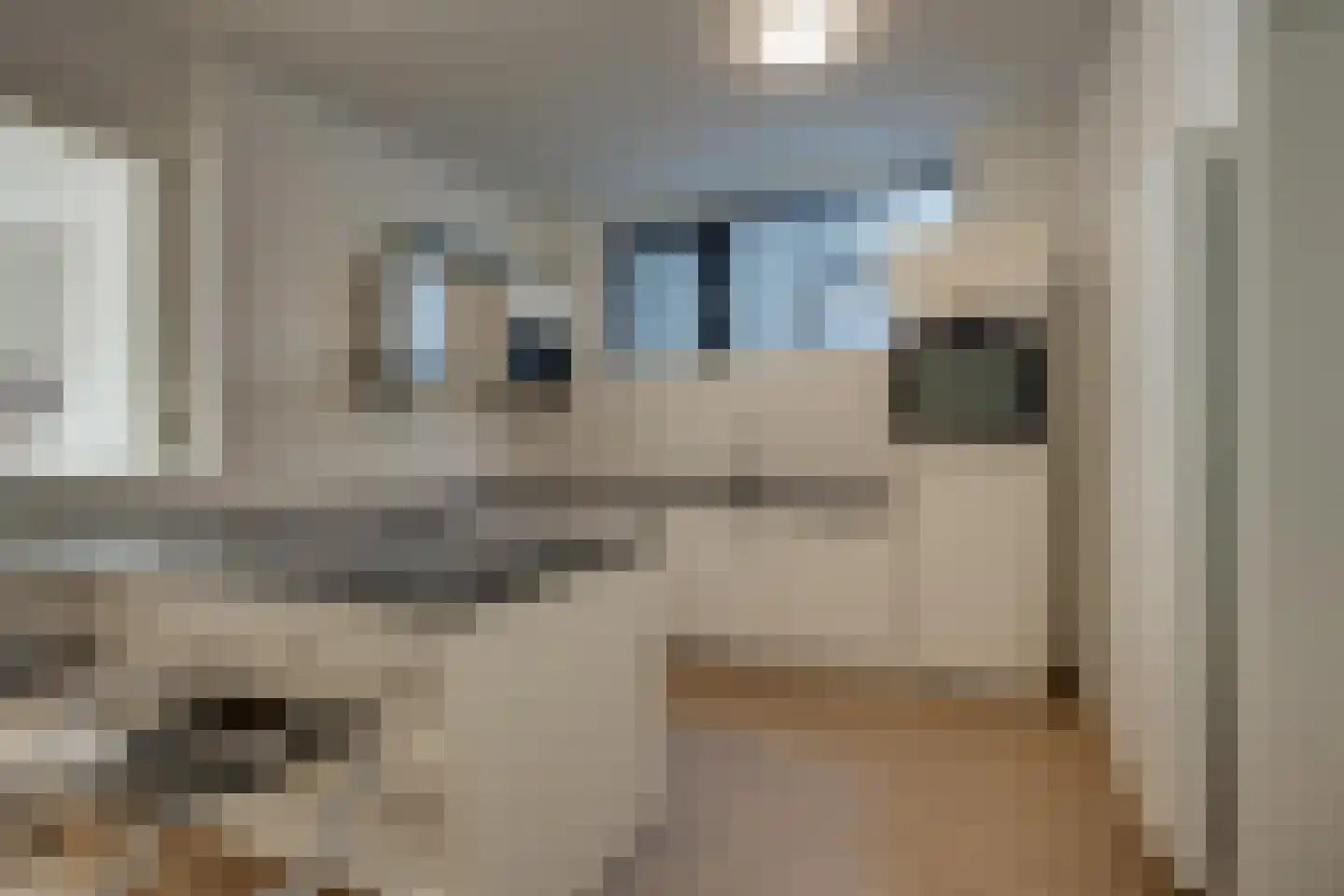 Nieuwe Langendijk 104 Delft thumbnail 12