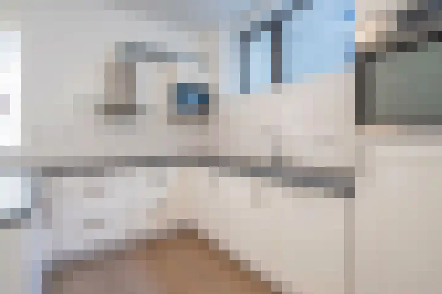 Nieuwe Langendijk 104 Delft thumbnail 17