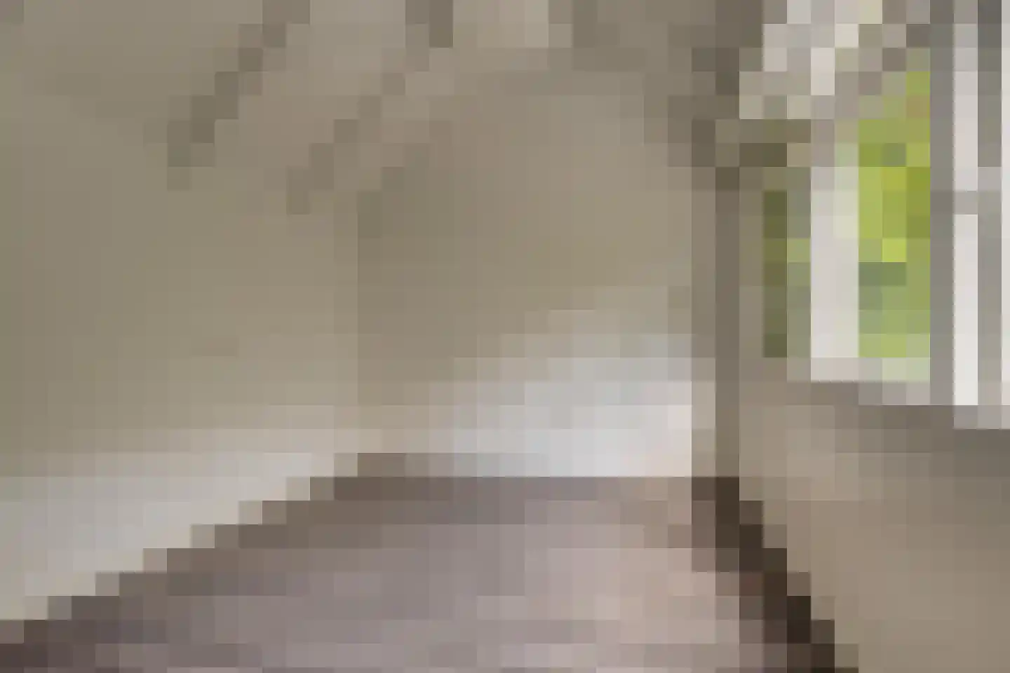 Nieuwe Langendijk 104 Delft thumbnail 25
