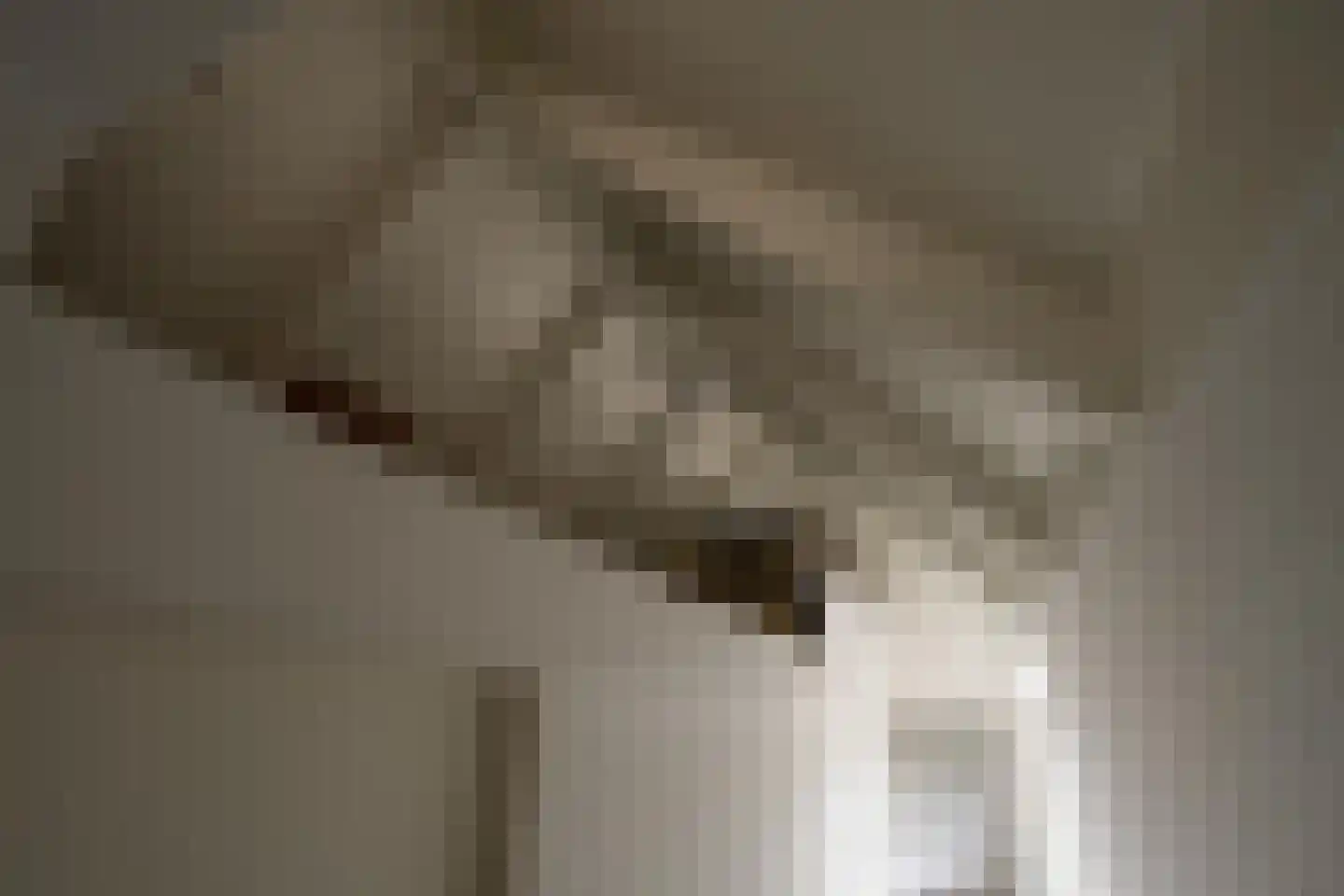 Nieuwe Langendijk 104 Delft thumbnail 27
