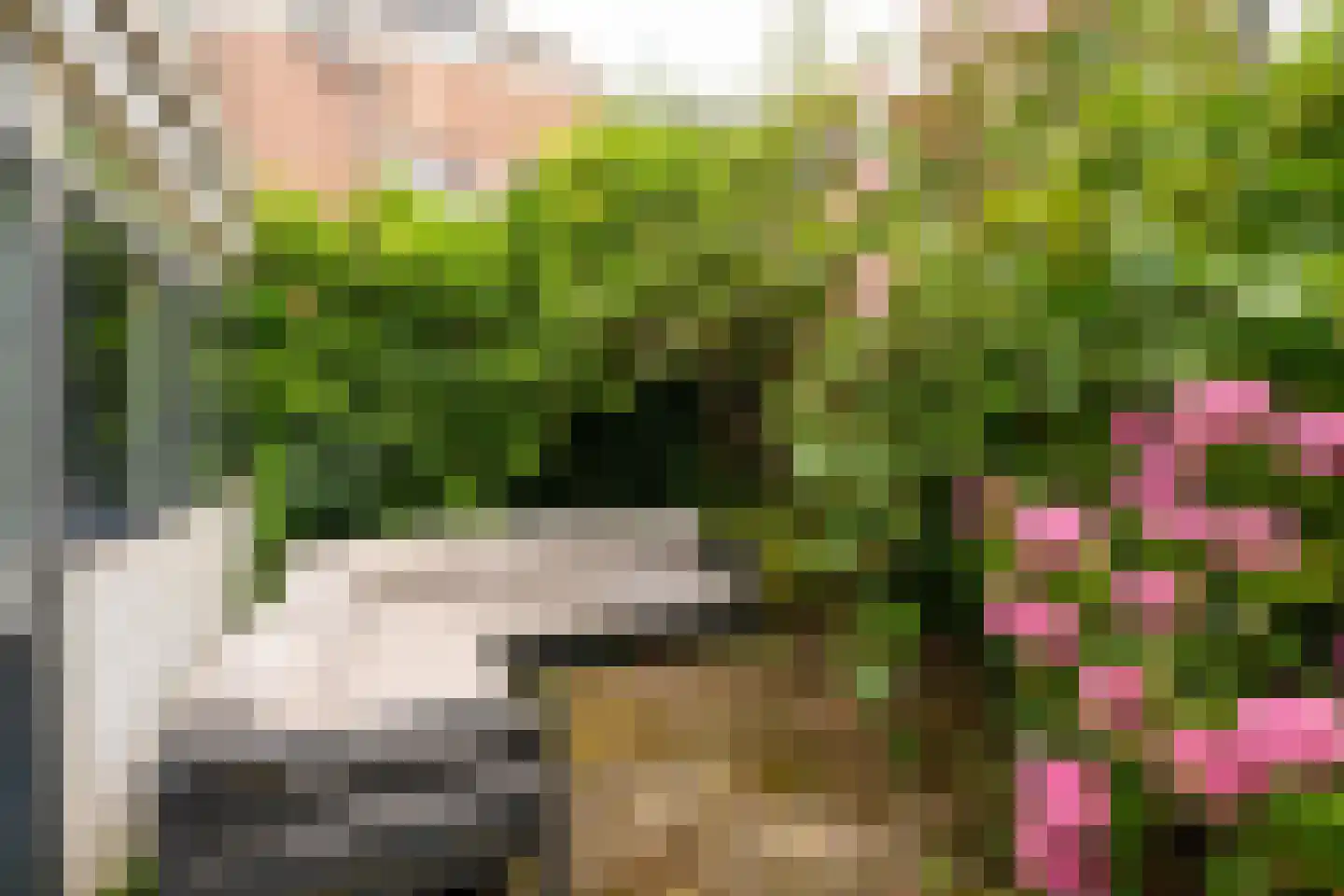 Nieuwe Langendijk 104 Delft thumbnail 4
