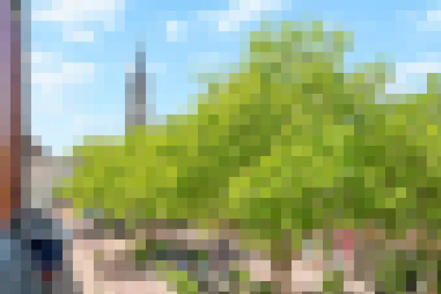 Nieuwe Langendijk 29 Delft thumbnail 26