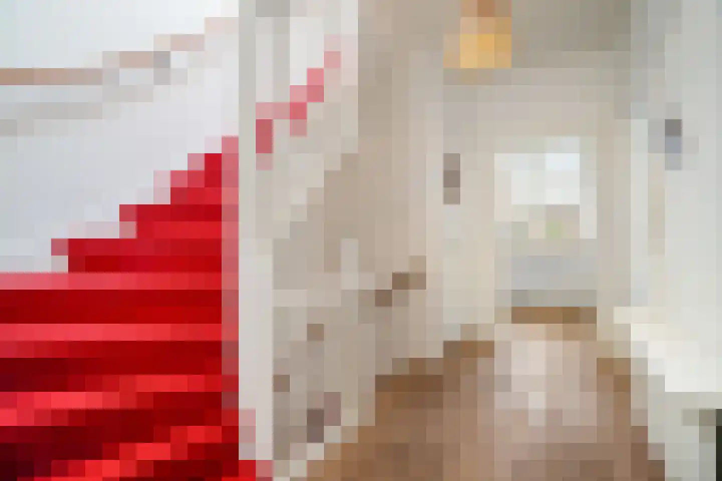 Nieuwe Langendijk 29 Delft thumbnail 8