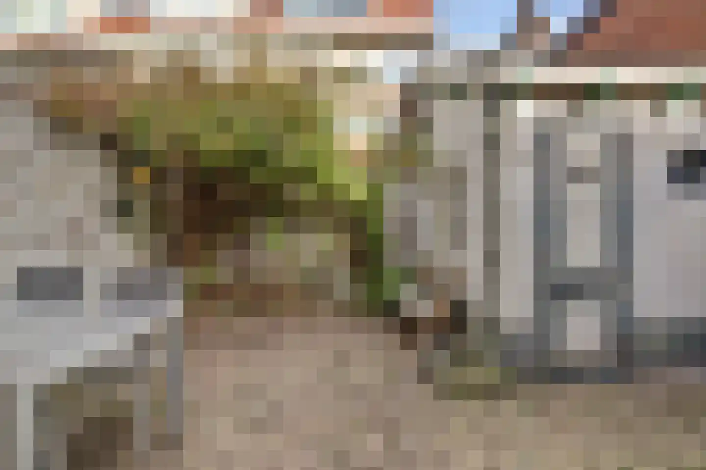Nieuwe Langendijk 30 Delft thumbnail 28