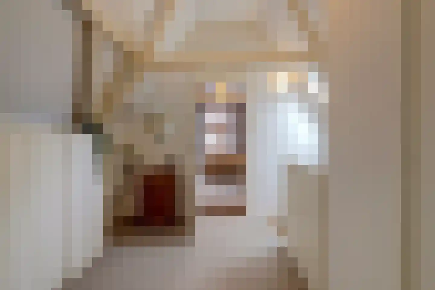 Nieuwe Langendijk 30 Delft thumbnail 31