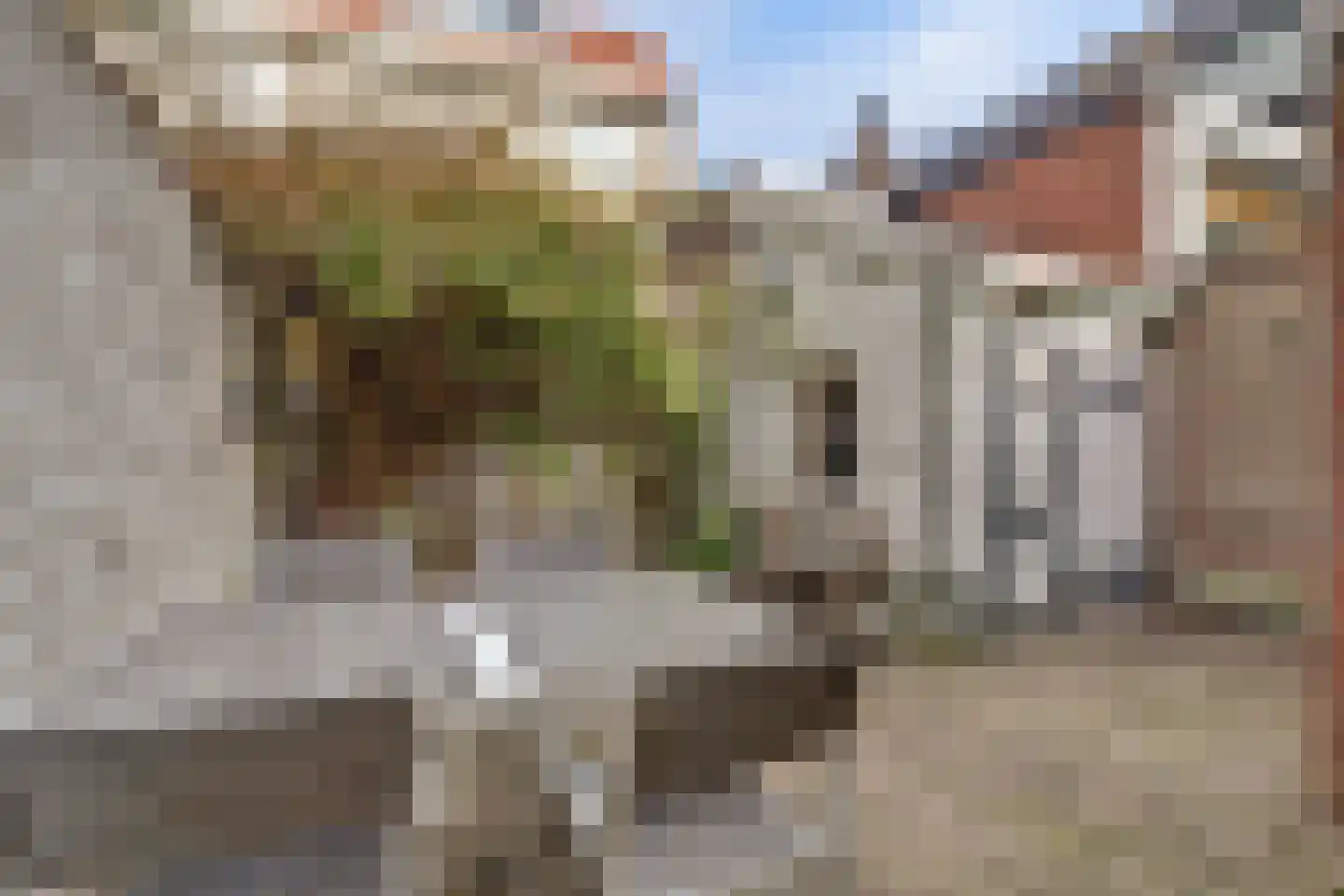 Nieuwe Langendijk 30 Delft thumbnail 6