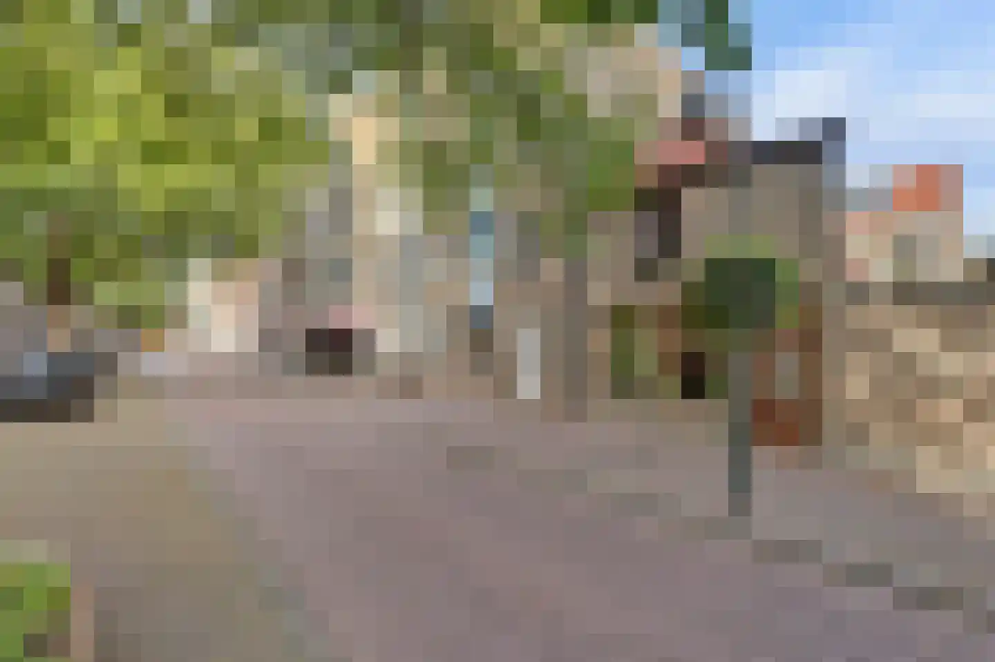Nieuwe Langendijk 30 Delft thumbnail 8