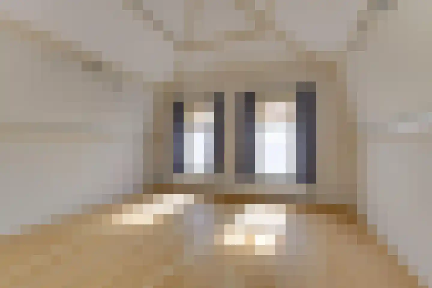 Nieuwe Langendijk 4 Delft thumbnail 28