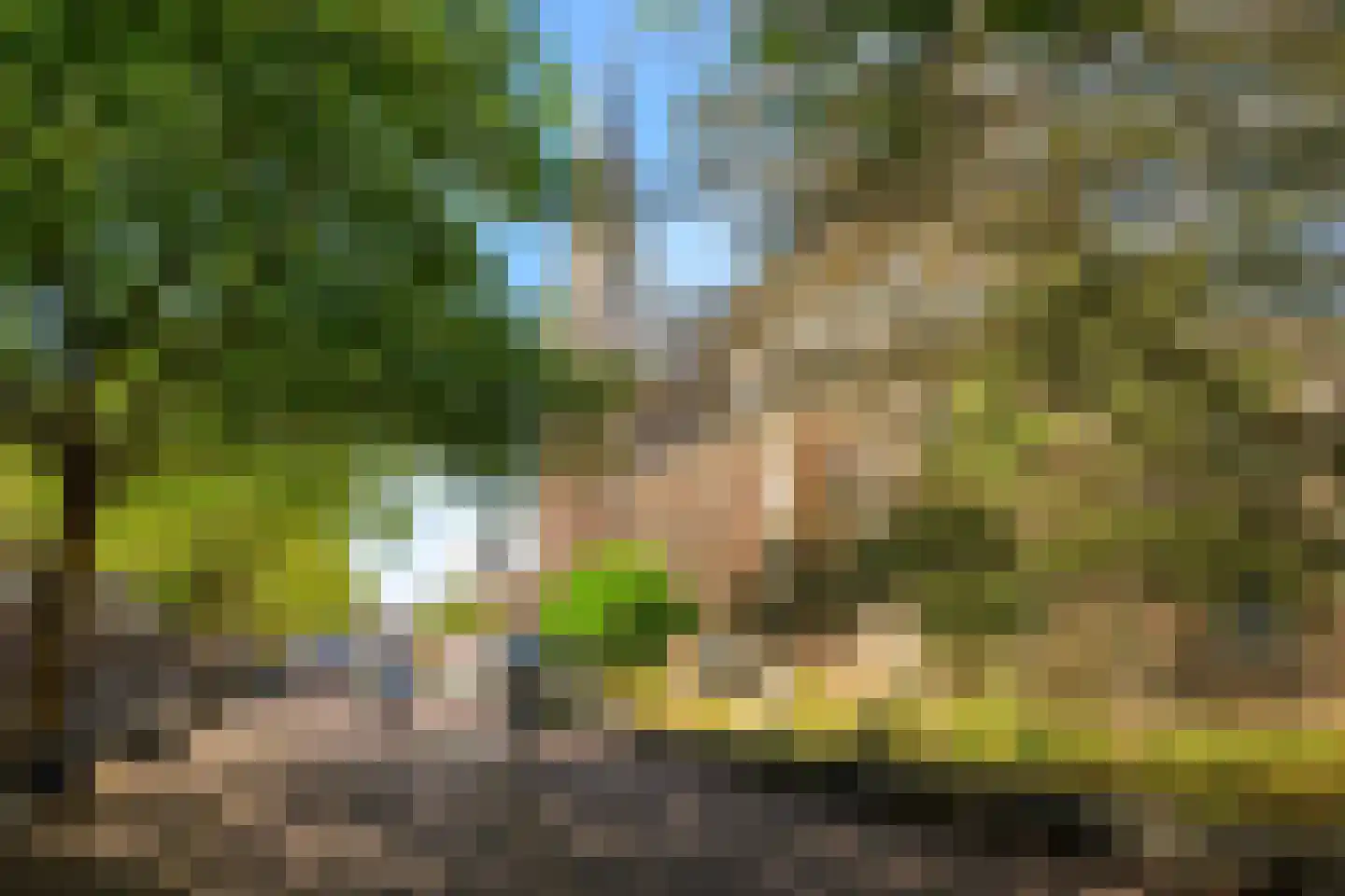 Nieuwe Langendijk 4 Delft thumbnail 35