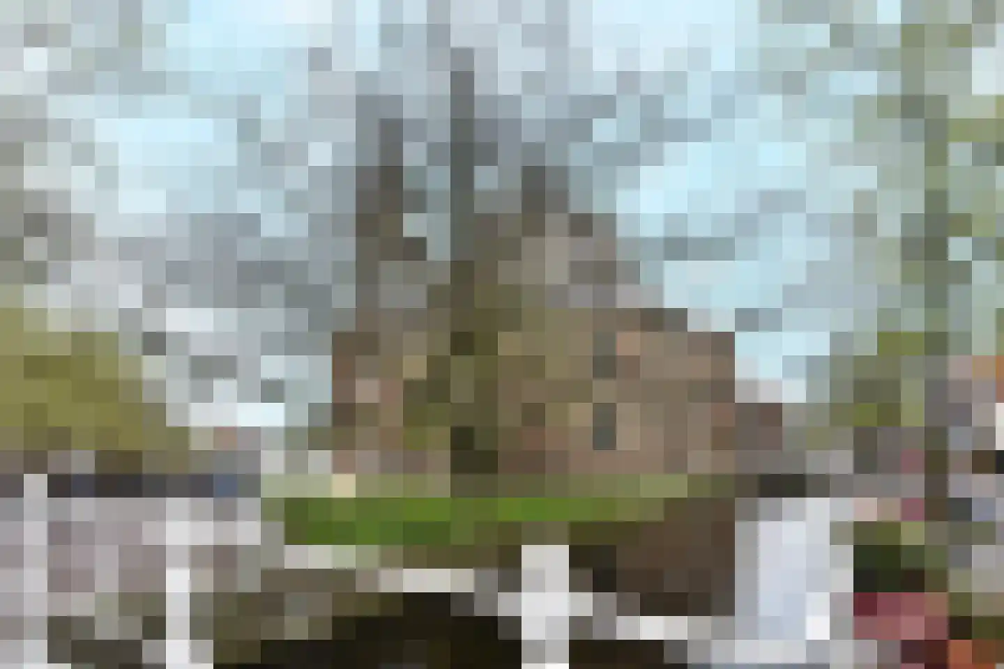 Nieuwe Langendijk 61 D Delft thumbnail 20